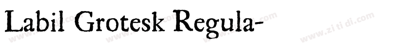 Labil Grotesk Regula字体转换